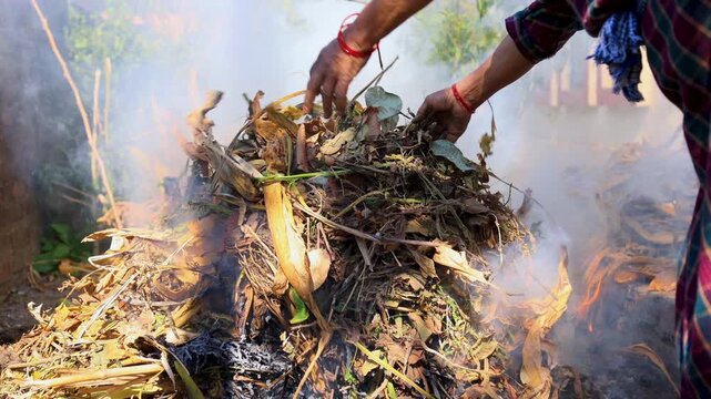 Closeup 4k video showing farmers burning leftover agricultural plant waste after harvest. Rural farming practice, smoke rising, environmental and pollution related scene.