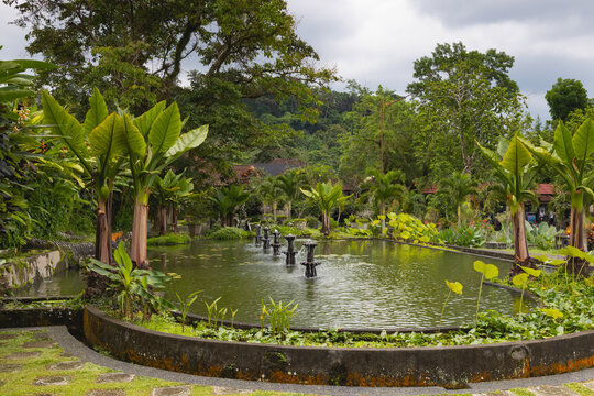 Garden in Taman Tirta Gangga. It is a former royal palace.