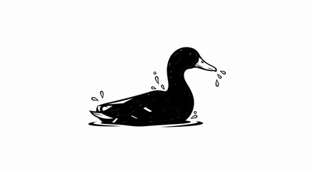 A black duck swims in the water, with splashes around it