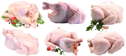 Chicken on a white background isolated, © valeriy555