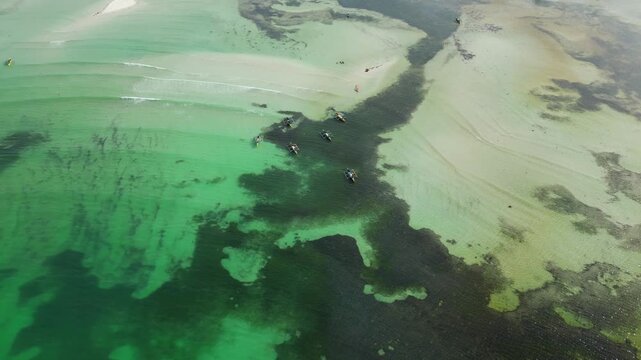 Aerial view emphasizing the contrast of white sand and turquoise water with palm trees at Tondol Beach.