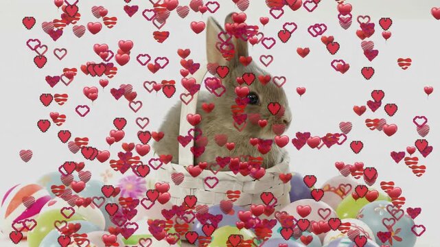 Rabbit sitting in white woven basket, eggs below, red pink hearts falling from top creating romance