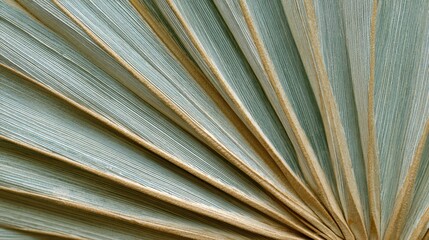 Obraz premium Dried palm leaf ridges closeup showing radial fan and subtle sage tan tones, crisp linear veins and natural fibers, soft muted atmosphere ideal for eco branding, product packaging mockups and interior