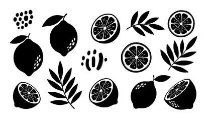 Abstract hand drawn lemon fruit and branch silhouette icons collection isolated on white background © Morjina