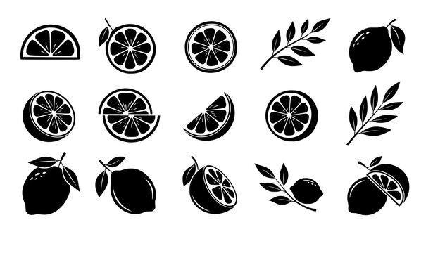 Hand drawn artistic lemon silhouettes with fruits slices and leafy branches isolated on white background