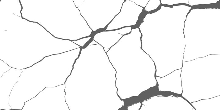 A detailed view of a branching crack pattern on a plain white surface, suggesting damage or decay