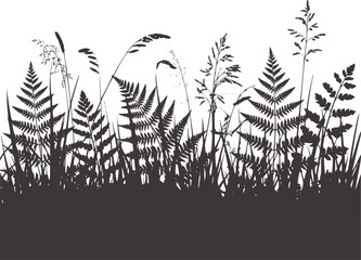 Naklejka premium Dark grey silhouette of ferns and grasses against