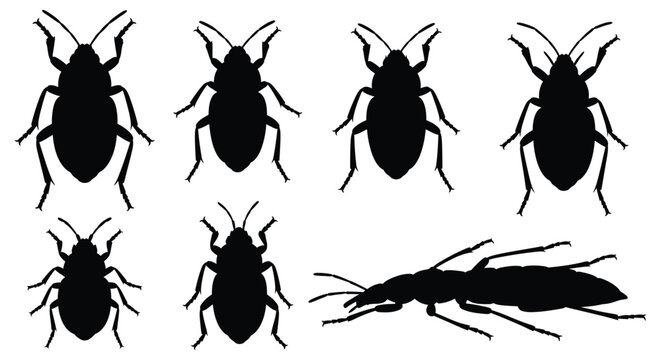 Insect silhouettes including shield bugs and larvae forms