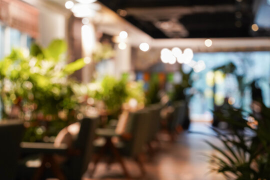 Abstract blur in a luxury restaurant or cafe with lush foliage and green plant