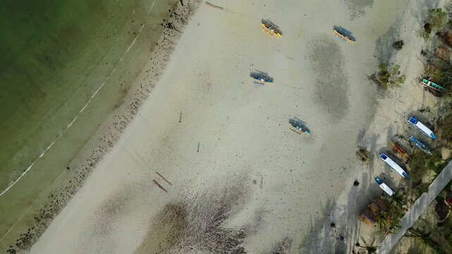 Wide aerial capturing island palms, white sand, clear water, and a clean horizon line in Anda.