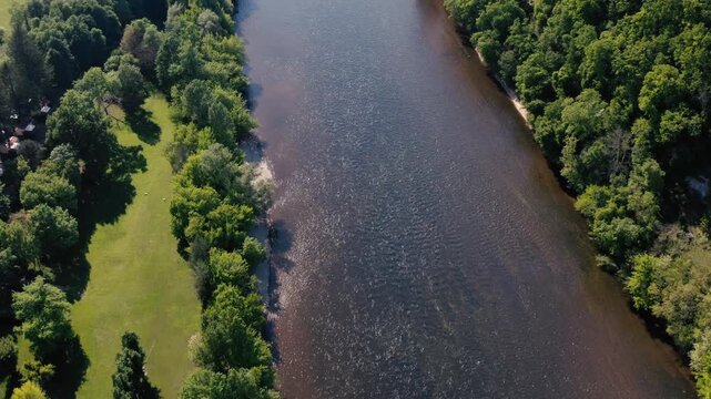 Top-down aerial drone shot flying over the green banks of the Dordogne river near Limeuil, capturing the contrast between lush vegetation and flowing water.
