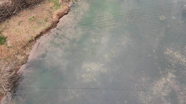 Top-down view of shallow water beside an uneven earthen bank, showing submerged sediment patterns, soft ripples, and muted reflections along the natural shoreline in daylight.