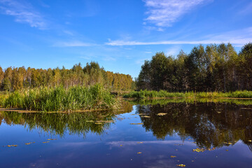 Tranquil River Reflections of Autumn Trees