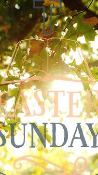 Vertical video: Sun passing leaves causing bokeh, sign EASTER SUNDAY fading, showing greeting
