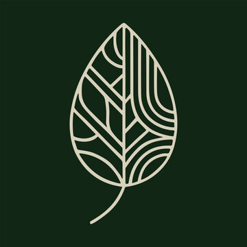 Stylized leaf design with geometric patterns on dark green background