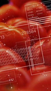 Vertical video: HUD animating over red tomato pile, triggered by vertical light, updating metrics