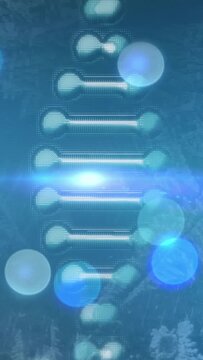 Vertical video: Flare sweeping, starting DNA turning while orbs drifting, making looping fern scene