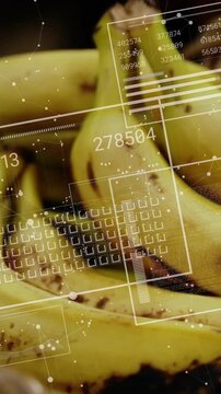 Vertical video: HUD fading in starting camera tilt and overlays changing to highlight banana spots