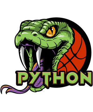 Python Basketball Logo PNG