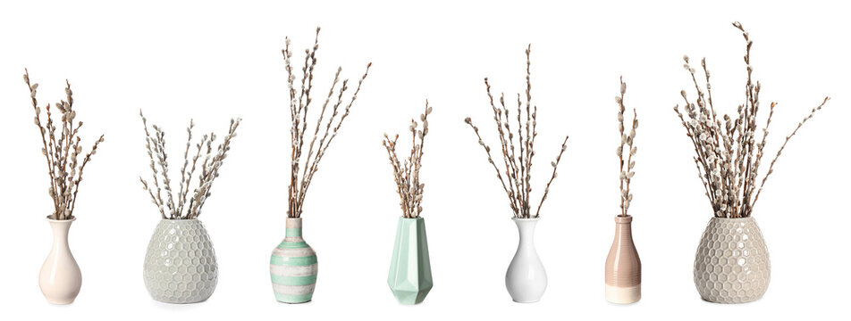Collage of vases with willow branches on white background