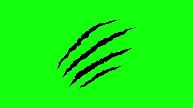 Wild animal claws scratch, claws scratches