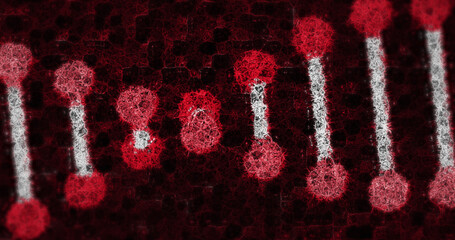 Human Biology DNA Skull Brain image 4k © vectorfusionart