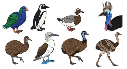Obraz premium Collection of diverse birds illustrated on a white background.