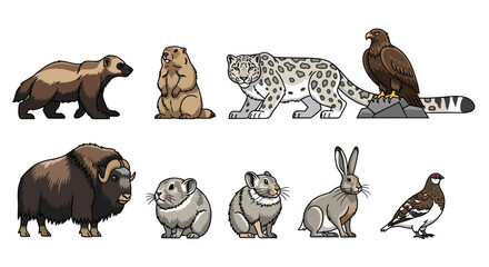 Cute cartoon arctic and alpine animals illustration set. © SAQUEEN