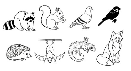 Collection of various wild animal illustrations in black and white outlines. © SAQUEEN
