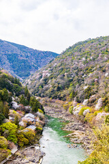 京都府　嵐山公園の桜風景