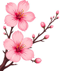 Cherry Blossom Branch Illustration, Blooming Sakura Flowers on Tree Branches for Spring Season, Mother&rsquo;s Day Design, Romantic Asian Floral Art, Elegant Nature Background Elements