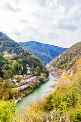 京都府　嵐山公園の桜風景