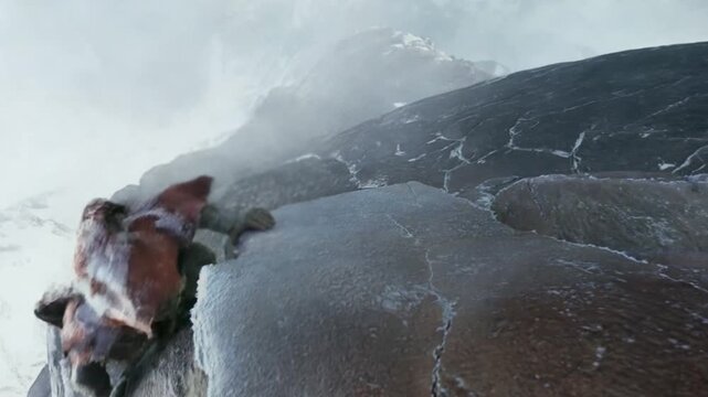 Cyclops climbing a snowy mountain