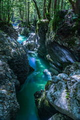 Clear water flows through rocky formations in Mostnica Gorge, Slovenia. Quiet surroundings highlight the beauty of nature in this area.