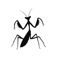  Mantis Martial Arts Silhouette Vector Design