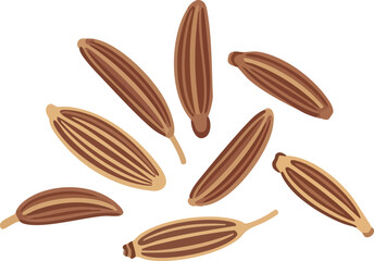 Fototapeta premium A Scattering of Brown Cumin Seeds on a Light Background