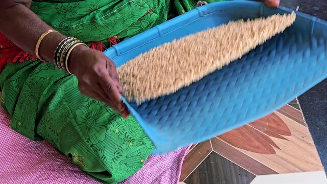 An Indian woman in a green sari is winnowing or sifting grains, likely jowar (sorghum) or rice, using a traditional blue flat basket to separate the grains from the chaff. Its a common rural practice.