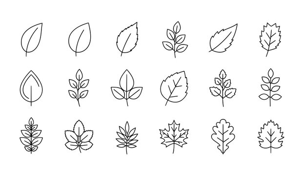 Editable stroke leaf line icons set for stores, banners, and design projects