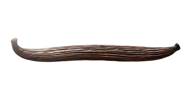 A transparent background highlights a single, curved, dark brown vanilla bean against a clean, transparent background.