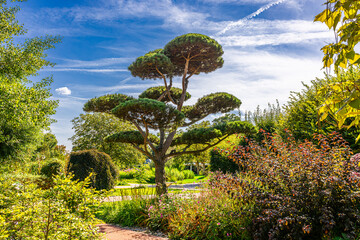 Naklejka premium Die Garten Tulln, Am Wasserpark, 13430 Tulln in Österreich