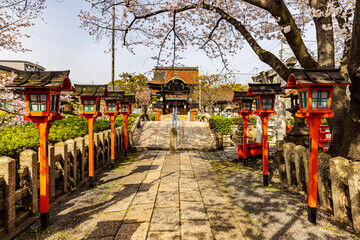京都府　六孫王神社の桜風景