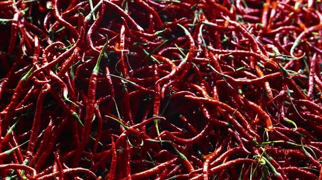 Vibrant red chili peppers are piled high in a market setting outdoors today