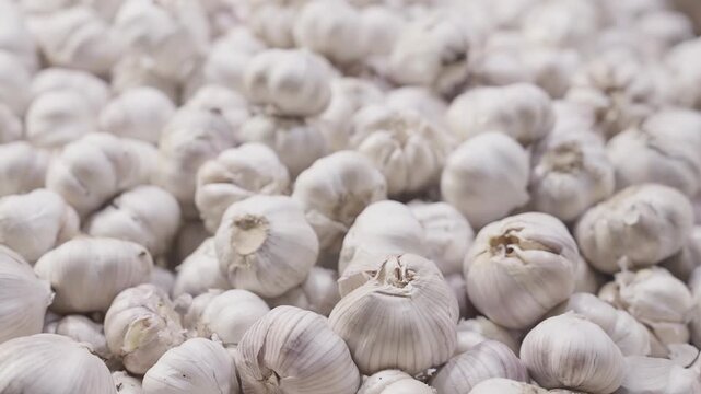 Fresh garlic bulbs on display at a market or store for culinary use