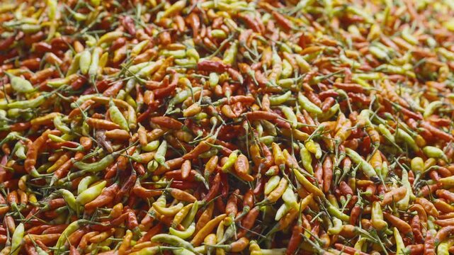 A large pile of colorful chili peppers are drying in the sun outdoors.