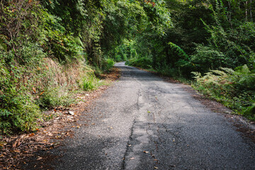 Obraz premium Strada Provinciale di Canossa paved road between Lusuolo and Villafranca in Lunigiana, Province of Massa and Carrara, Tuscany, Italy