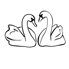 Two Swans in Love Line Art Illustration, Romantic Swan Couple Outline Vector © Kate