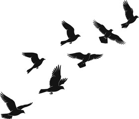 Obraz premium Flock of birds flying in the sky silhouette vector illustration of pigeons or seagulls migrating in group for nature and freedom concepts