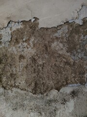old concrete wall, Large Mold and Damp Stained Wall Texture Background