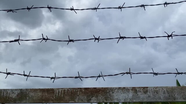 Barbed wire. Commonly found for security in areas such as prisons or important buildings. Suitable for making videos about prison movies.