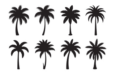 Palm tree silhouettes set with different coconut and date palm species for beach and summer travel graphics